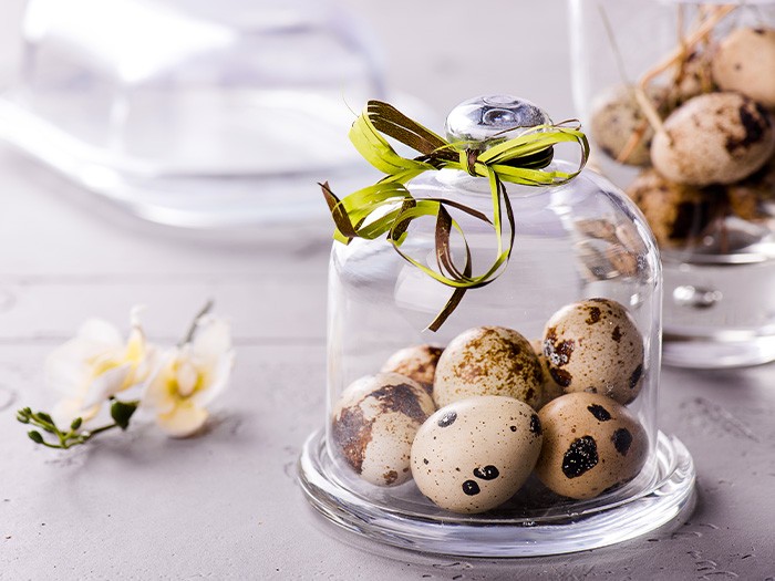 Cloches tenant des œufs sur une table.