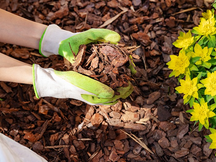 gardening